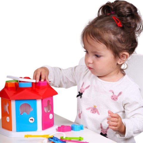 SORTER DOMEK EDUKACYJNY Z KLUCZAMI ZESTAW KLOCKI KSZTAŁTY KOLORY SORTER DOMEK EDUKACYJNY Z KLUCZAMI ZESTAW KLOCKI KSZTAŁTY KOLORY