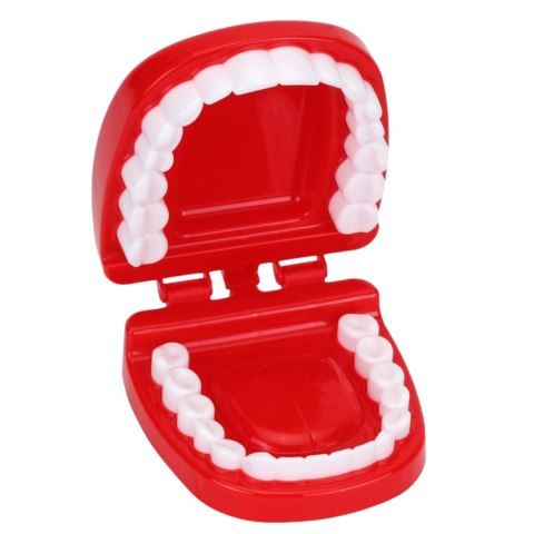 ZESTAW DENTYSTA MODEL SZCZĘKI WIERTŁO DENTYSTYCZNE DBANIE O ZĘBY STRZYKAWKA ZESTAW DENTYSTA MODEL SZCZĘKI WIERTŁO DENTYSTYCZNE DBANIE O ZĘBY STRZYKAWKA