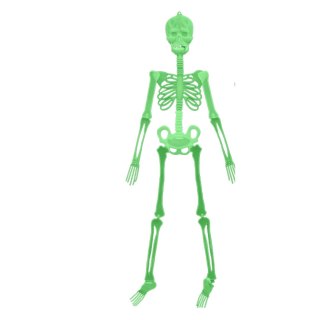 34Cm skeleton night light single.