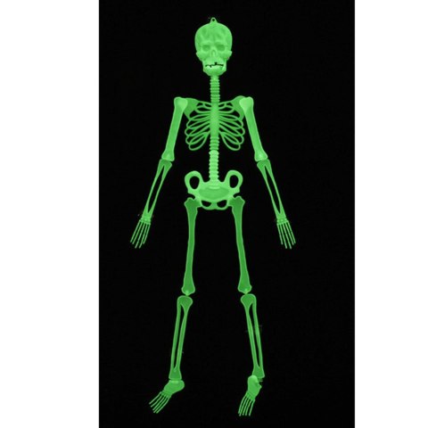 34Cm skeleton night light single. 34Cm skeleton night light single.