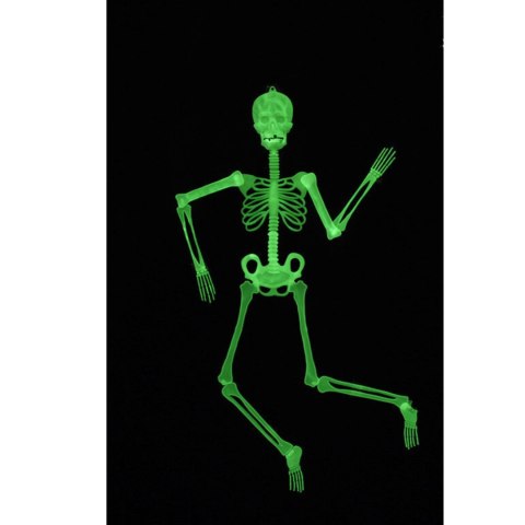 34Cm skeleton night light single. 34Cm skeleton night light single.