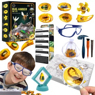 Insect amber archaeological set