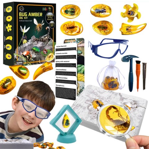 Insect amber archaeological set