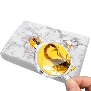Insect amber archaeological set