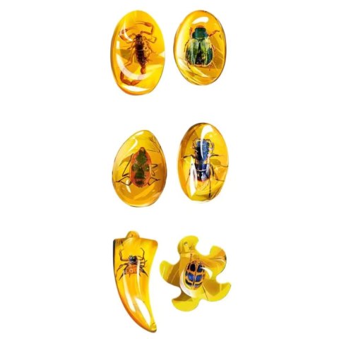 Insect amber archaeological set