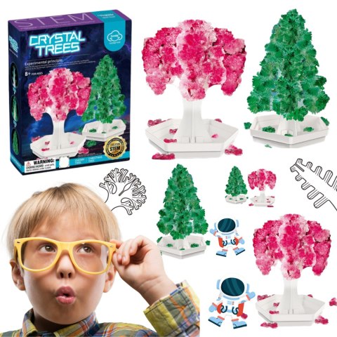 Magic tree planting 2-piece set