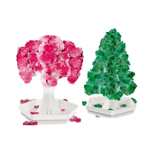 Magic tree planting 2-piece set