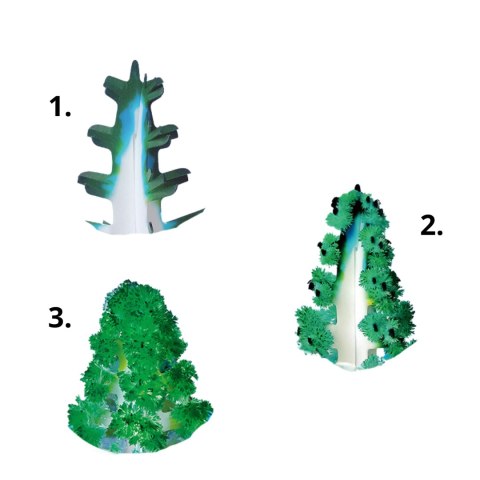 Magic tree planting 2-piece set