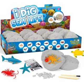Archaeological Excavation-Underwater World 12/Box with Single Double Head Tool