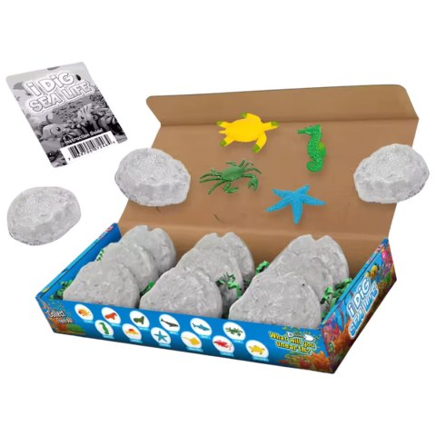 Archaeological Excavation-Underwater World 12/Box with Single Double Head Tool