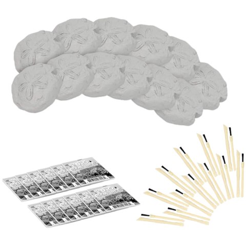 Archaeological Excavation-Underwater World 12/Box with Single Double Head Tool