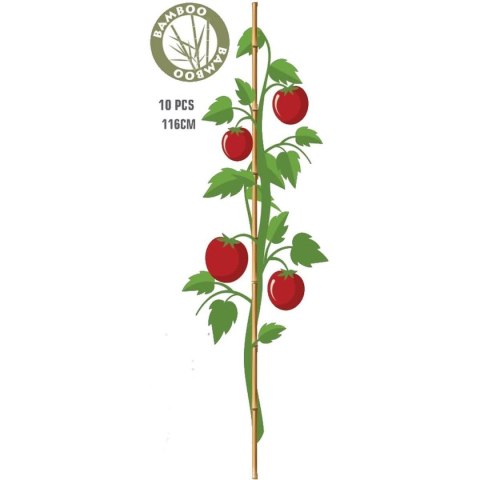 PODPORA DO ROŚLIN BAMBUSOWA TYCZKA 10SZT PROGARDEN PODPORA DO ROŚLIN BAMBUSOWA TYCZKA 10SZT PROGARDEN