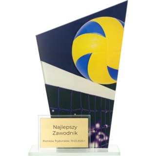 Trofeum szklane, dwie tafle - SIATKÓWKA