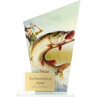 Trofeum szklane, dwie tafle - WĘDKARSTWO