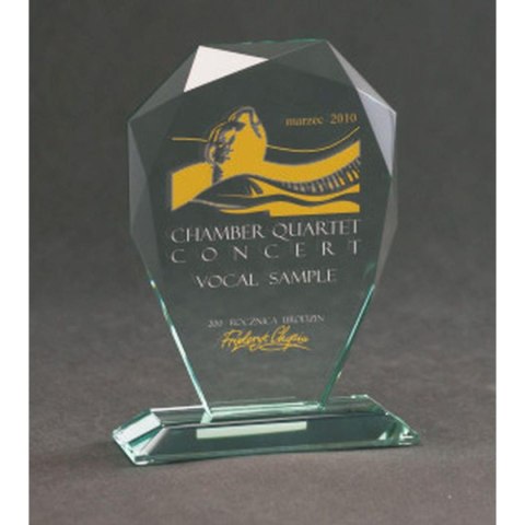 Trofeum szklane grawerowane z etui +wypełnianie farbą Trofeum szklane grawerowane z etui +wypełnianie farbą