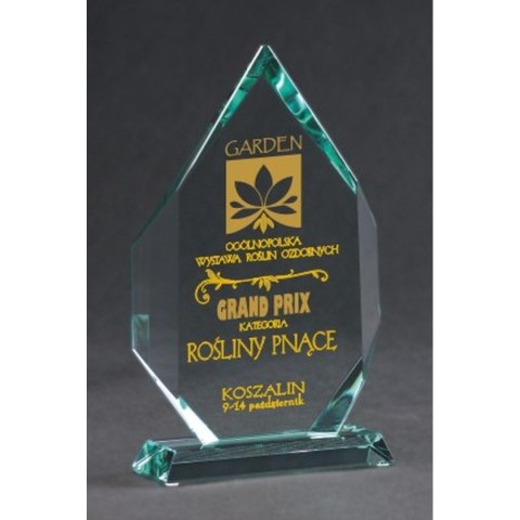Trofeum szklane grawerowane z etui +wypełnianie farbą Trofeum szklane grawerowane z etui +wypełnianie farbą