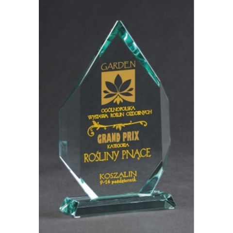 Trofeum szklane grawerowane z etui +wypełnianie farbą Trofeum szklane grawerowane z etui +wypełnianie farbą