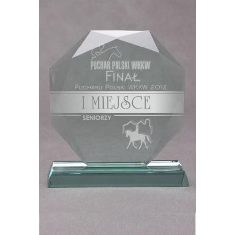 Trofeum szklane grawerowane z etui Trofeum szklane grawerowane z etui