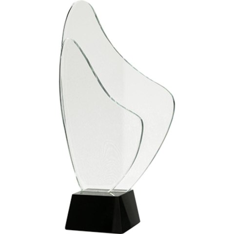 Trofeum szklane z Etui Trofeum szklane z Etui