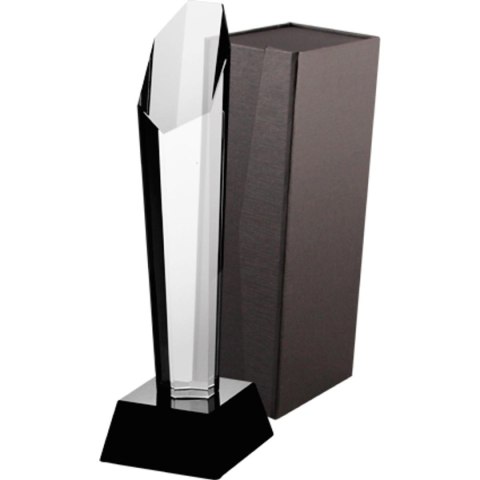 Trofeum szklane z etui Trofeum szklane z etui