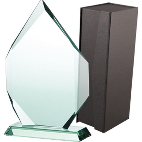 Trofeum szklane z etui Trofeum szklane z etui