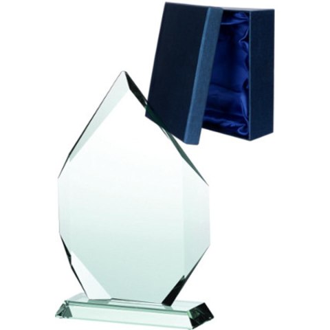 Trofeum szklane z etui Trofeum szklane z etui