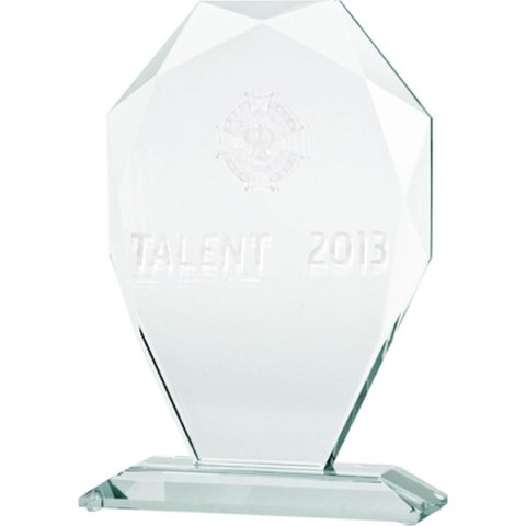 Trofeum szklane z grawerowerką 3D z etui Trofeum szklane z grawerowerką 3D z etui