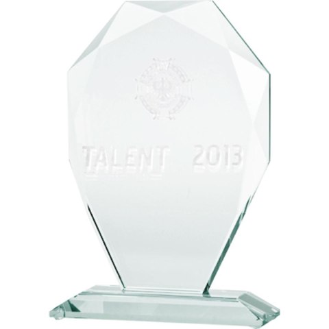 Trofeum szklane z grawerowerką 3D z etui Trofeum szklane z grawerowerką 3D z etui