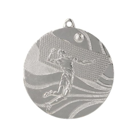 Medal srebrny- siatkówka Medal srebrny- siatkówka