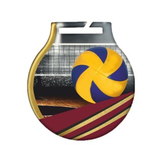 Medal stalowyz usługą Q - SIATKÓWKA