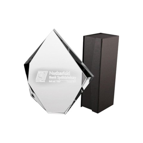 Trofeum szklane grawerowane 3D z etui Trofeum szklane grawerowane 3D z etui