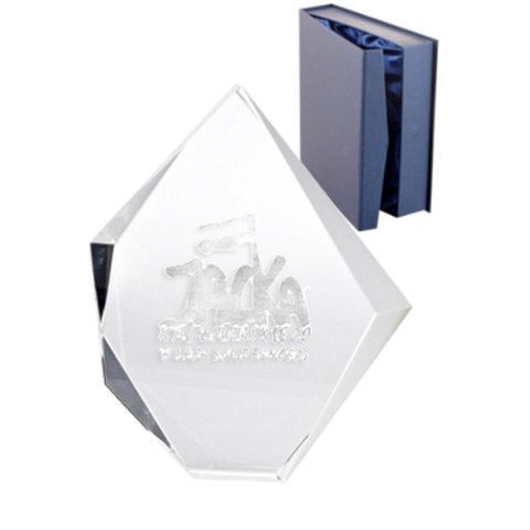 Trofeum szklane grawerowane 3D z etui Trofeum szklane grawerowane 3D z etui