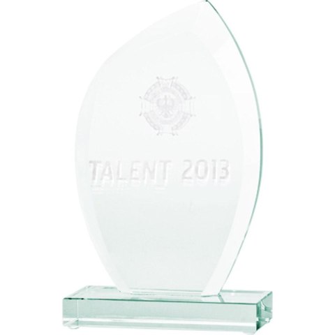 Trofeum szklane grawerowane 3D z etui Trofeum szklane grawerowane 3D z etui