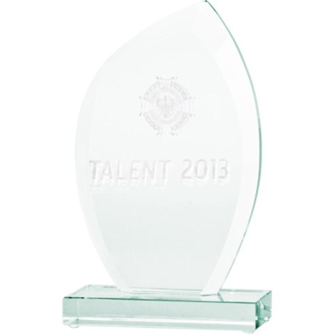 Trofeum szklane grawerowane 3D z etui Trofeum szklane grawerowane 3D z etui