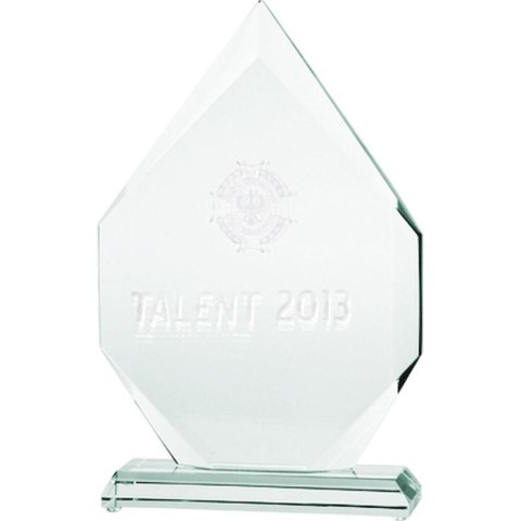 Trofeum szklane grawerowane 3D z etui Trofeum szklane grawerowane 3D z etui