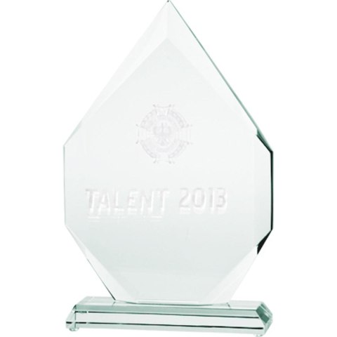 Trofeum szklane grawerowane 3D z etui Trofeum szklane grawerowane 3D z etui