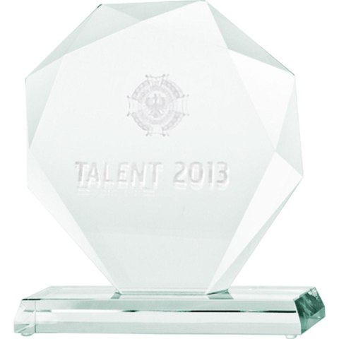 Trofeum szklane grawerowane 3D z etui Trofeum szklane grawerowane 3D z etui