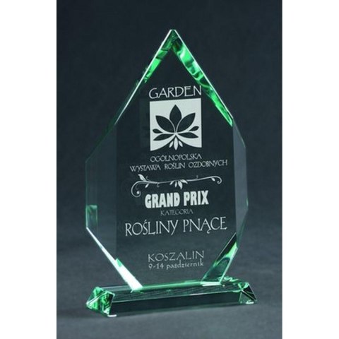 Trofeum szklane grawerowane z etui Trofeum szklane grawerowane z etui