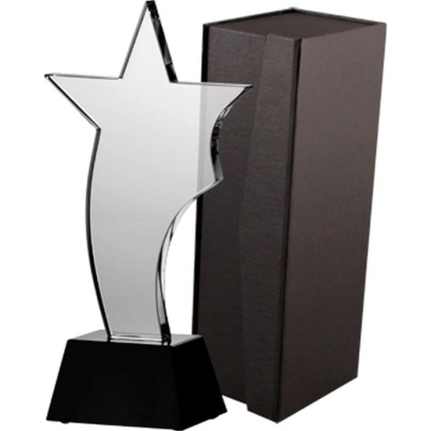 Trofeum szklane z etui Trofeum szklane z etui