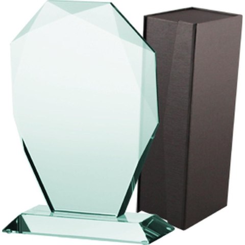 Trofeum szklane z etui Trofeum szklane z etui