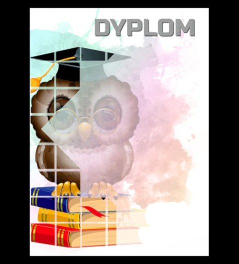 Dyplom papierowy - sowa (25 szt.) DYP157