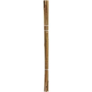 PODPORA DO ROŚLIN BAMBUSOWA TYCZKA 116 CM 10SZT PROGARDEN