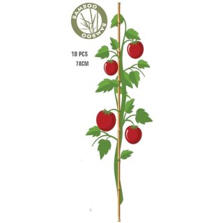 PODPORA DO ROŚLIN BAMBUSOWA TYCZKA 78 CM 10SZT PROGARDEN