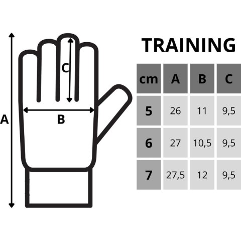 RĘKAWICE BRAMKARSKIE ENERO TRAINING R.6
