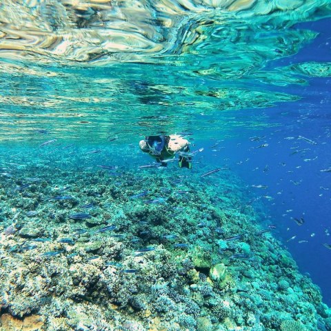 MASKA DO NURKOWANIA SNORKELINGU JUNIOR BEST SPORTING