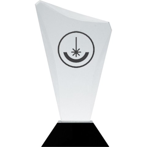 Trofeum szklane grawerowane z etui Trofeum szklane grawerowane z etui