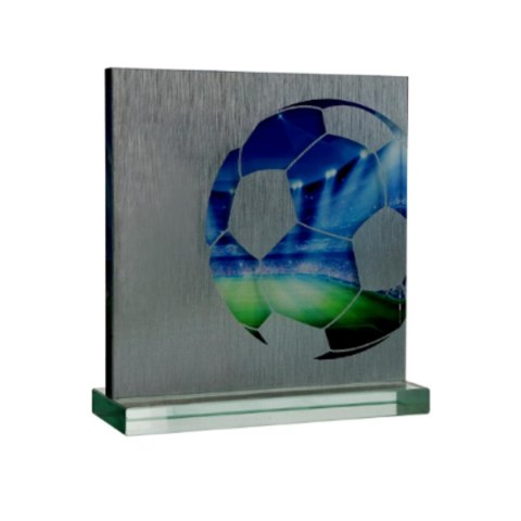 Trofeum szklane z Etui Trofeum szklane z Etui
